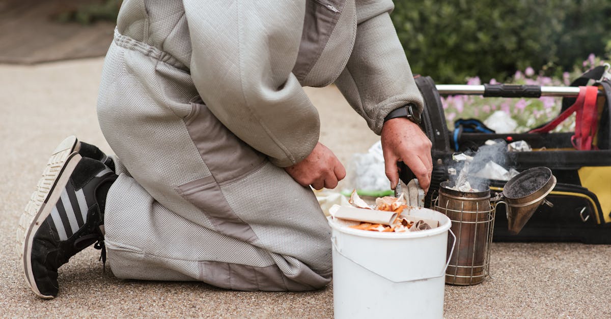 Equipamentos Essenciais para Meliponicultura Urbana